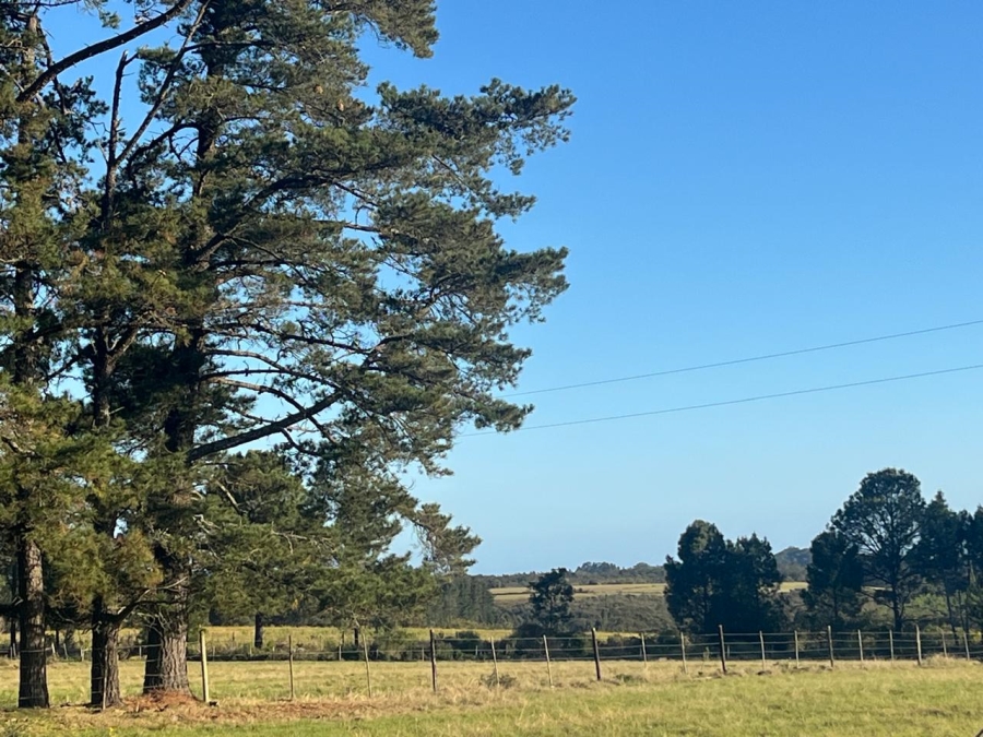 Commercial Property for Sale in Plettenberg Bay Rural Western Cape